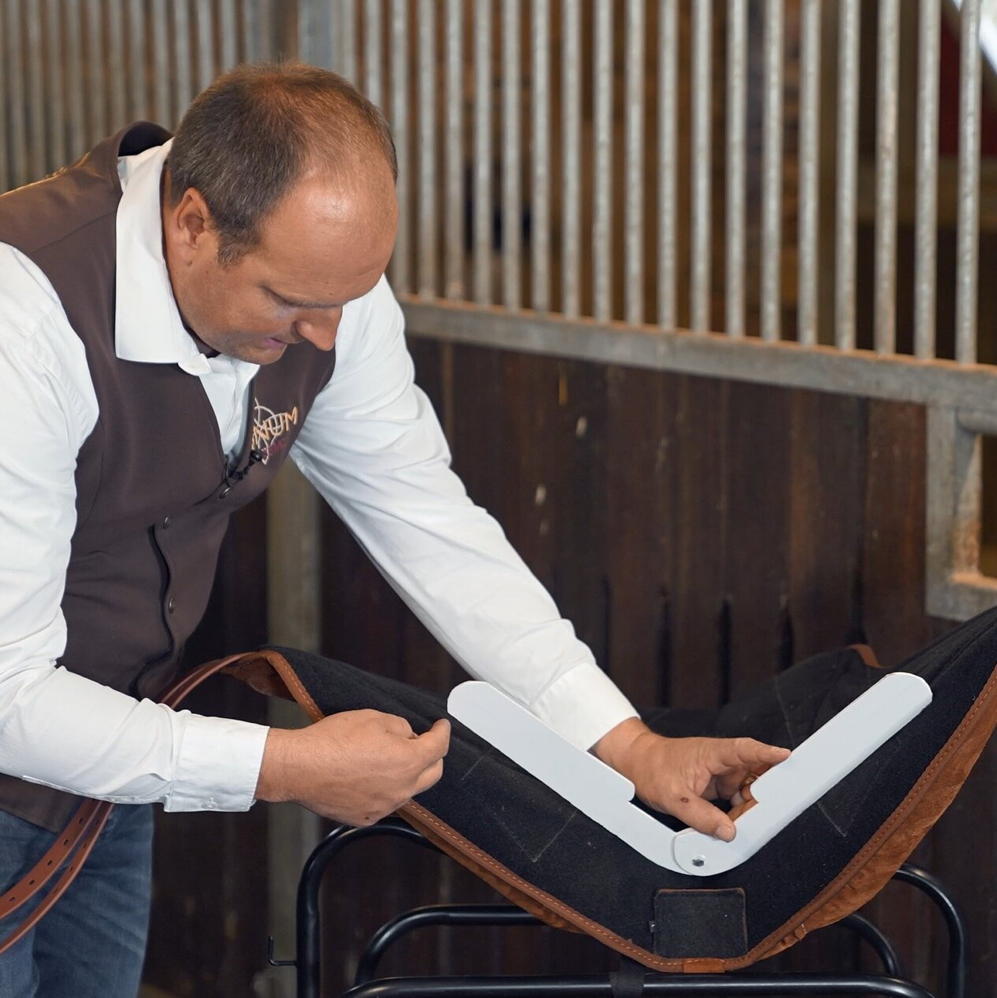 PADDLE & Reitpads Signum Sattelservice