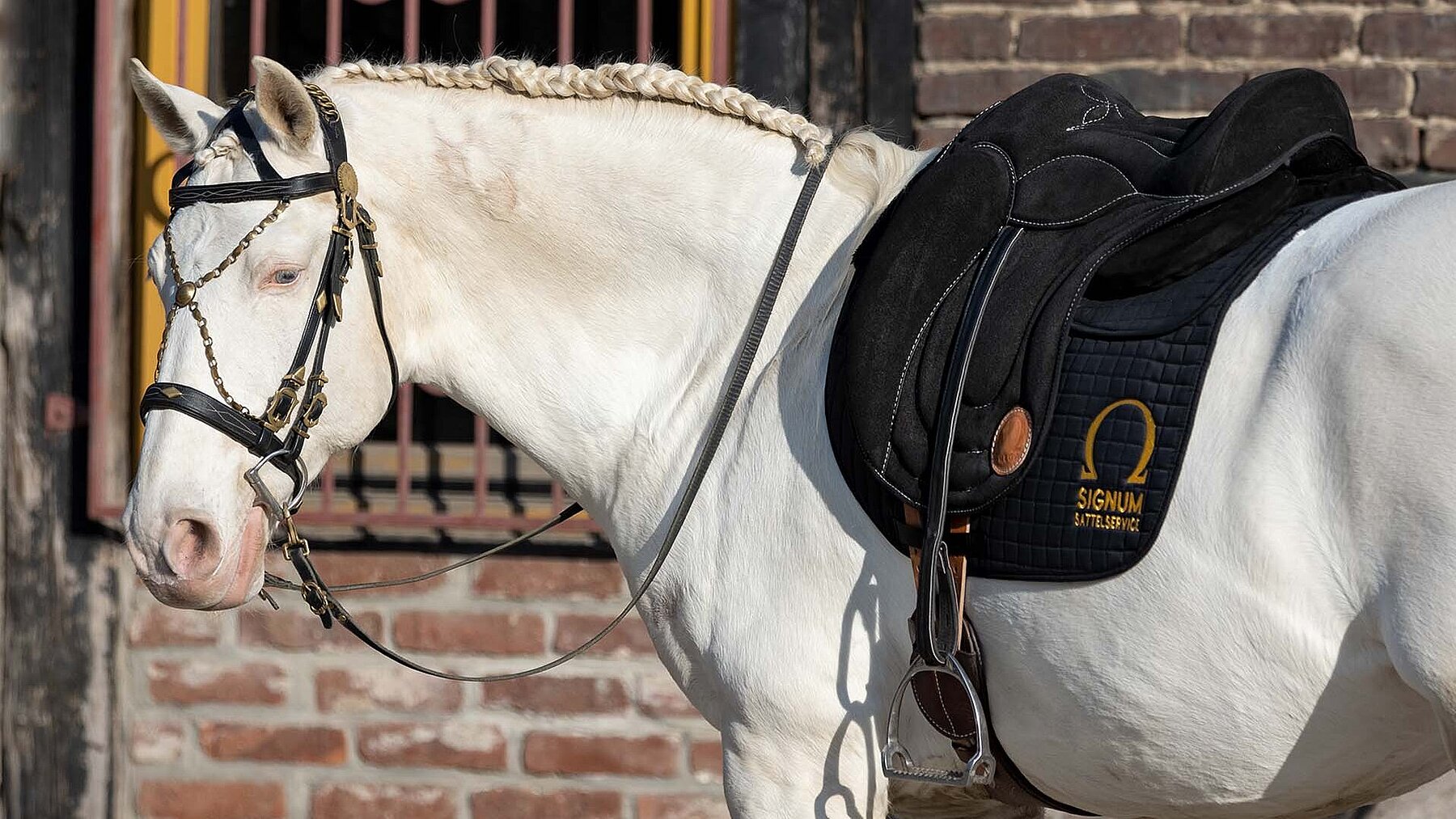 AMKA Baumloser Sattel ENZO - Leicht & Rückenschonend Für Pferd Und Reiter