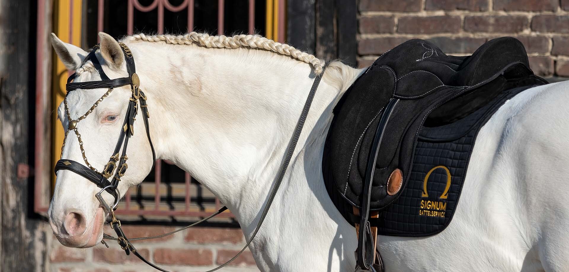 PADDLE Innovationspreis Signum Sattelservice